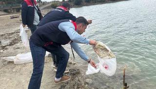 Havza&rsquo;da g&ouml;letlere 110 bin yavru sazan bırakıldı