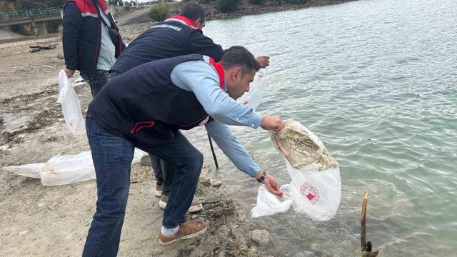Havza’da göletlere 110 bin yavru sazan bırakıldı