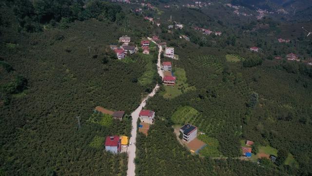 Ordu&rsquo;da beton yol &ccedil;alışmaları s&uuml;r&uuml;yor 1