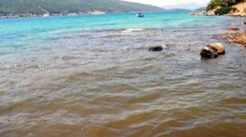 Güvercinlik siyaha büründü