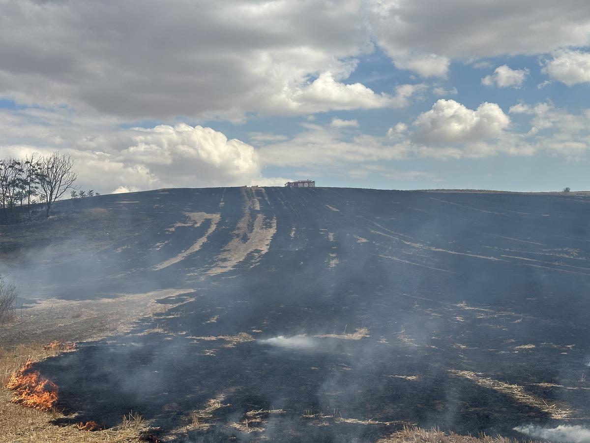 Tekirdağ da anız yangını 2