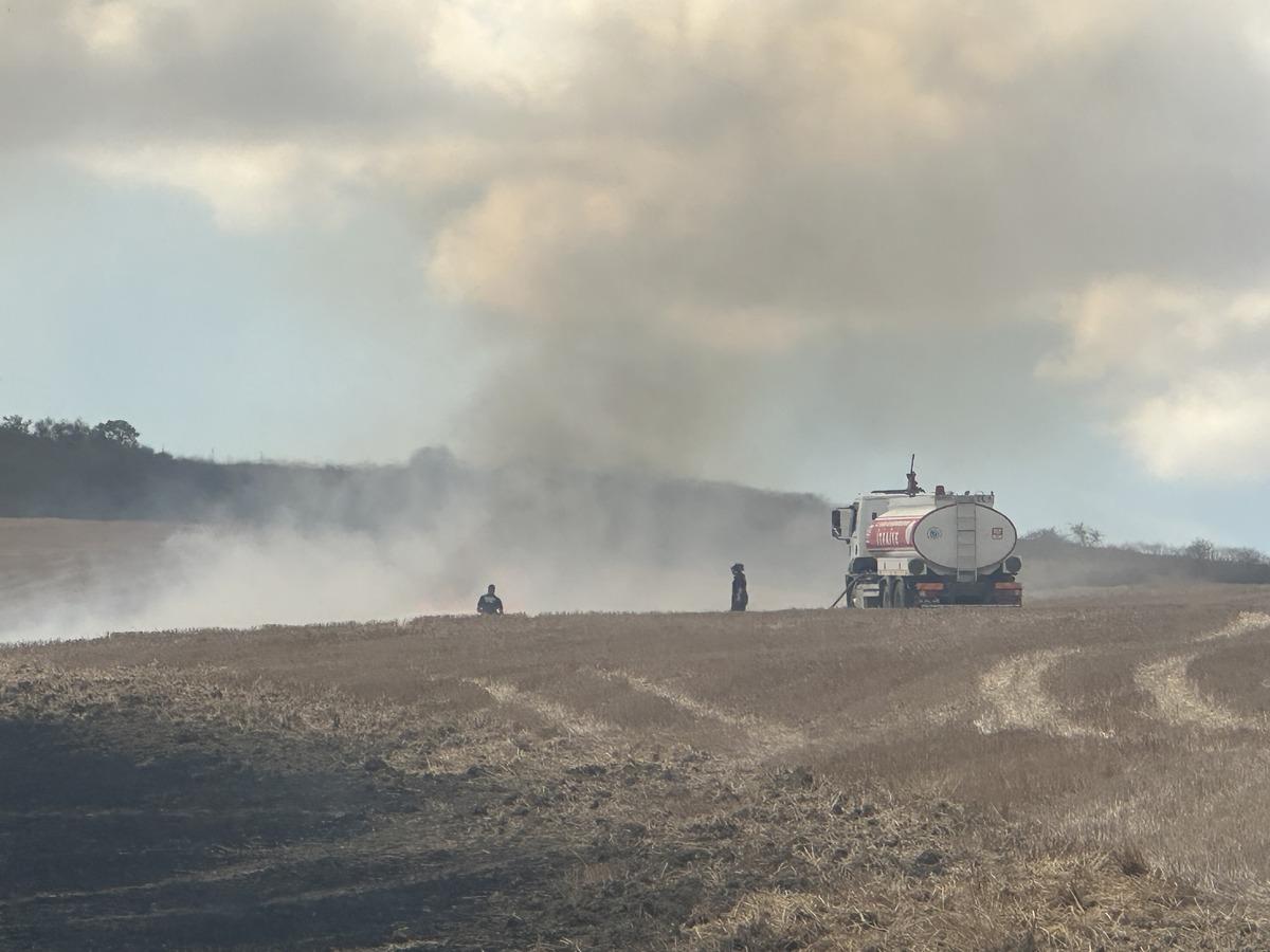 Tekirdağ da anız yangını 4