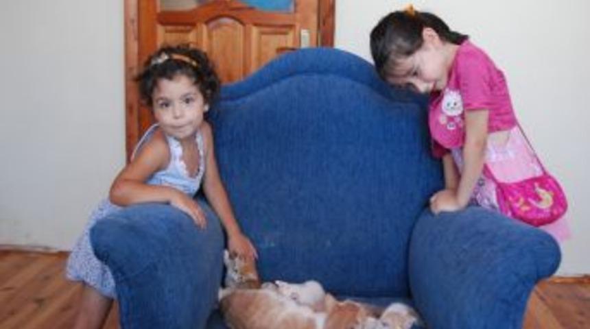 3 &ccedil;ocuğu olan &ccedil;ift, 30 kediye evlerinde bakıyor