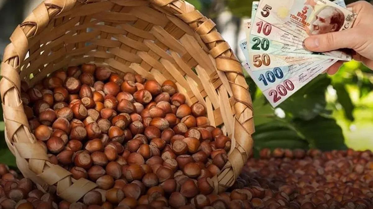 Ticaret Bakanlığı ndan fındık piyasası denetimi! Ordu ve Giresun i&ccedil;in m&uuml;fettiş g&ouml;nderildi 1