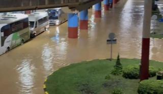 Trabzon'da şiddetli yağış etkili oldu