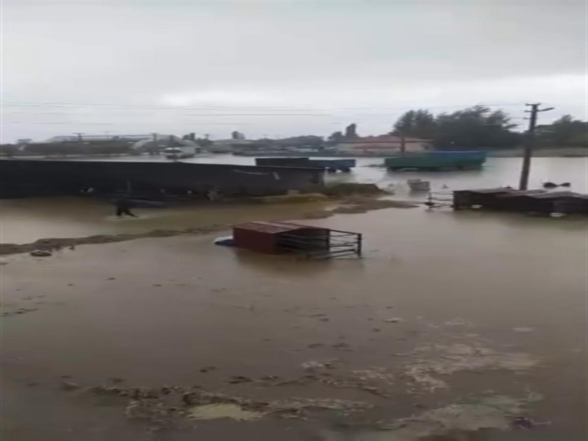 Niğde’de sağanak sele neden oldu; tarım arazileri zarar gördü 3