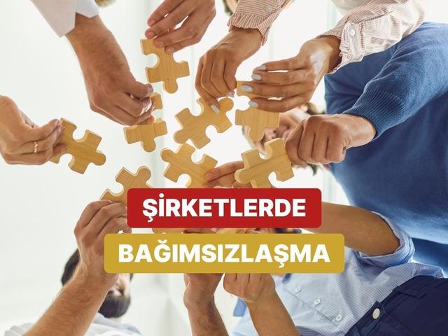 Şirketler Neden B&ouml;l&uuml;n&uuml;r?