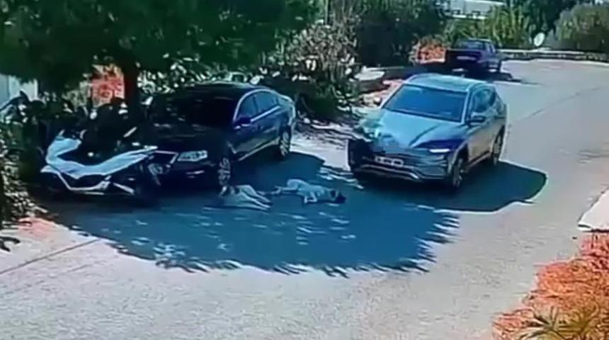 Otomobiliyle k&ouml;peklerin &uuml;zerinden ge&ccedil;ti