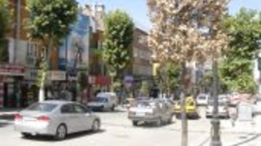 Fidanlar neden kuruyor?