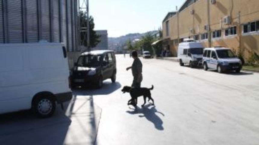 Serbest B&ouml;lge&rsquo;de asılsız bomba ihbarı