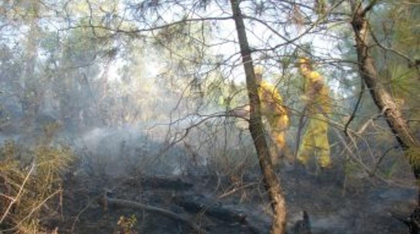 İmamoğlu'ndaki orman yangını kontrol altına alındı