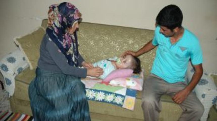 Hidrosefali hastası bebek yardım bekliyor