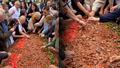 Festivalde onlarca ki�i tek tabaktan elleriyle iskender yedi