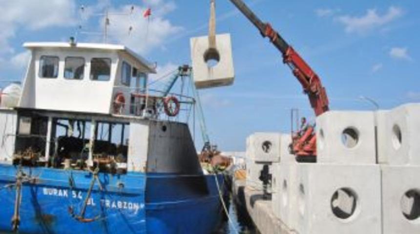 Karadeniz&rsquo;de balık t&uuml;rlerini geliştirmek i&ccedil;in yapay resifler yerleştiriliyor