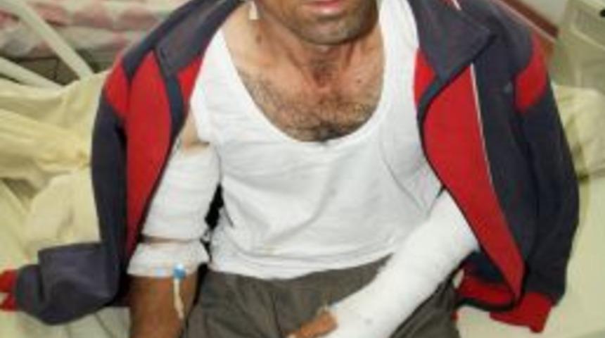 Ayının elinden &ouml;l&uuml; taklidi yaparak kurtuldu