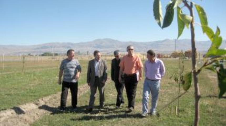 Erzurum meyvecilikle tanışmaya başladı