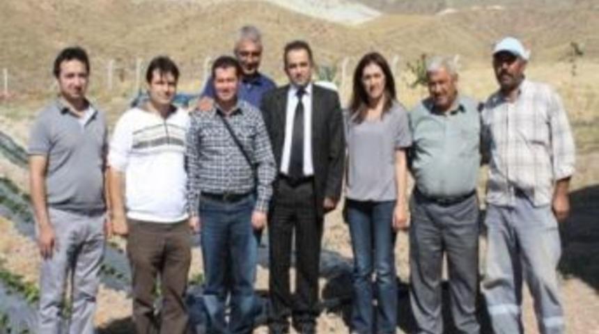 Yozgat&rsquo;ta &ccedil;ilek &uuml;retimi geliştirilecek