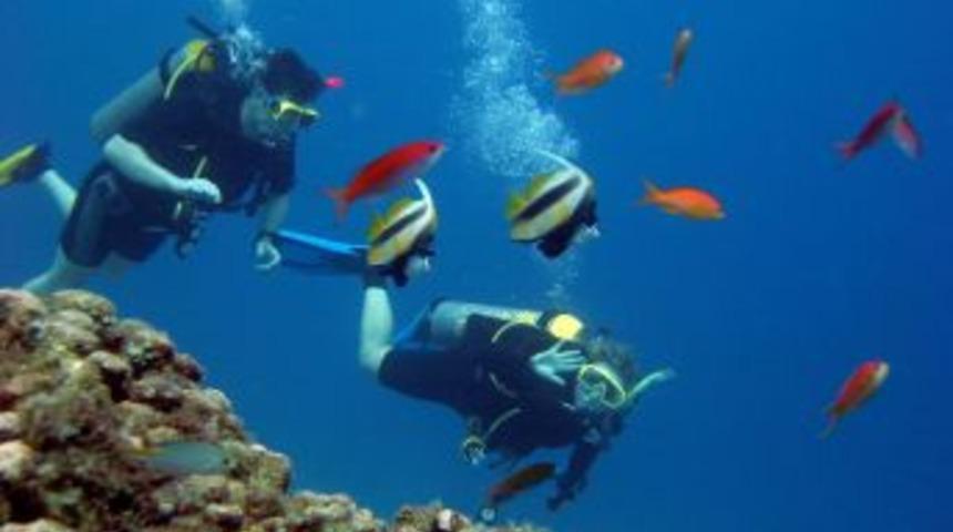 İsmail &Ccedil;iloğlu