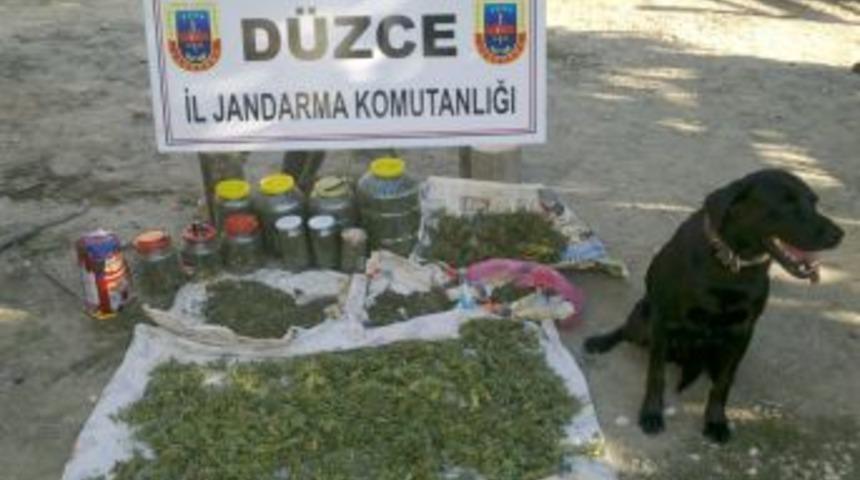 Jandarma 10 kilogram esrar ele ge&ccedil;irdi