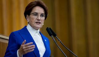 Meral Akşener vakıf kuruyor! İşlemler tamamlandı, logosu belli oldu