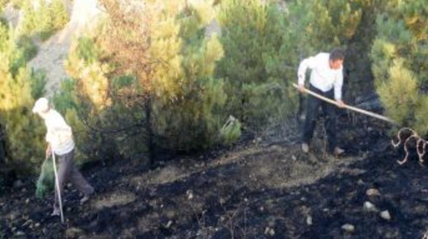 Kırıkkale&rsquo;de b&uuml;y&uuml;k orman yangını