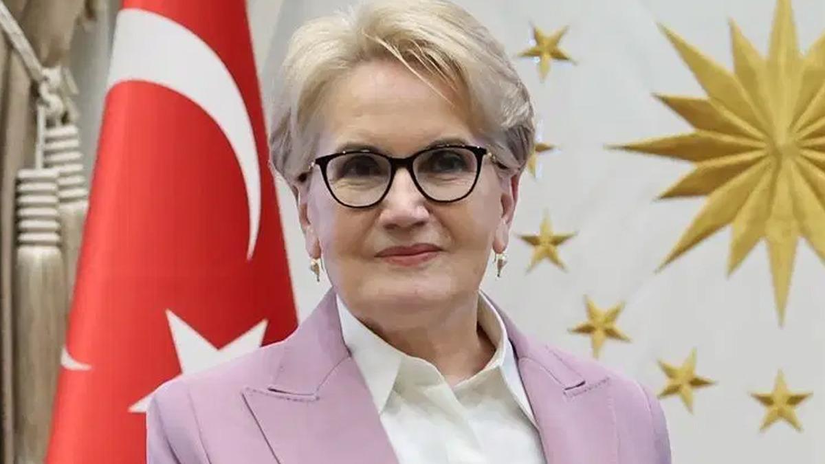 Meral Akşener vakıf kurdu! İşlemler tamamlandı, logosu belli oldu 1