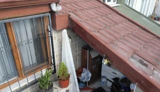 Sultangazi&rsquo;de &ccedil;atı katını arılar bastı: Arıların soktuğu kadın hastanelik oldu