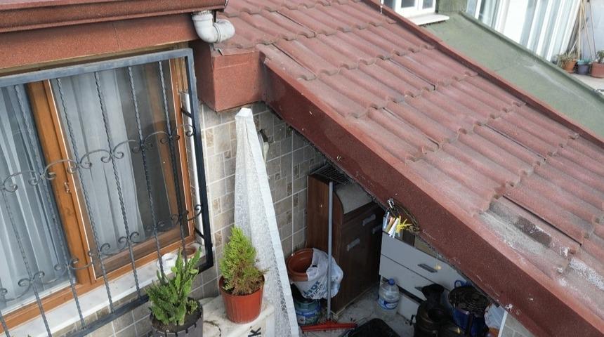 Sultangazi&rsquo;de &ccedil;atı katını arılar bastı: Arıların soktuğu kadın hastanelik oldu