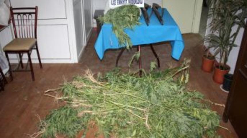 Kula'da uyuşturucu operasyonu