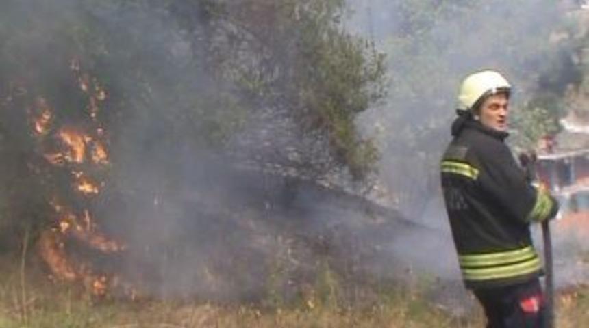 &Ccedil;alılık alanda &ccedil;ıkan yangın korkuttu