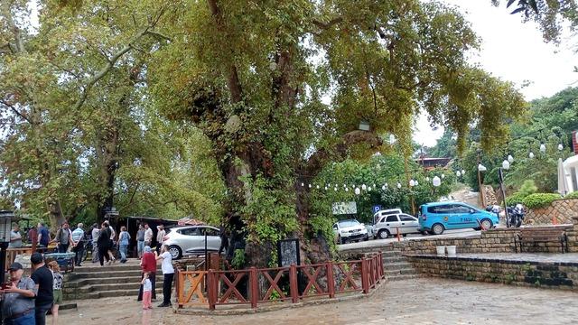 Hatay da şiddetli sağanak nedeniyle dereler taştı 2