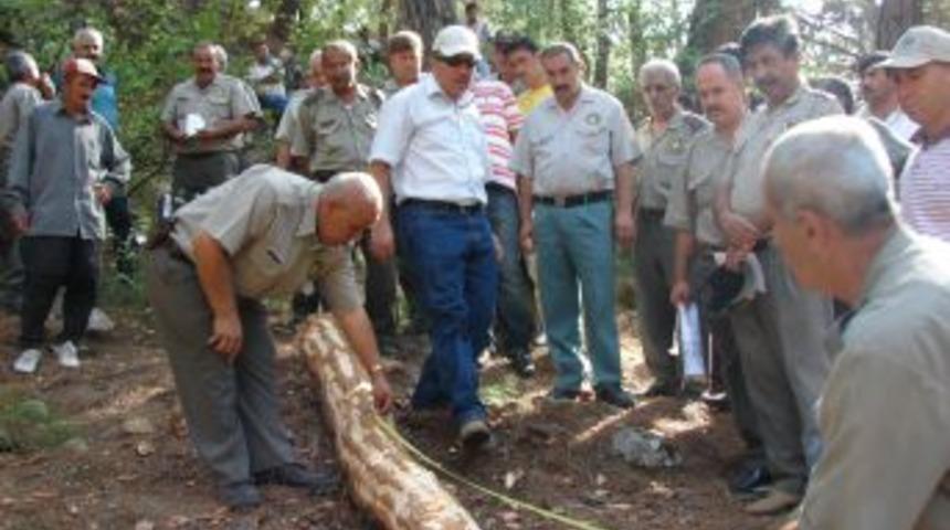 Kozan&rsquo;da &uuml;retim ve standardizasyon tatbikatı yapıldı