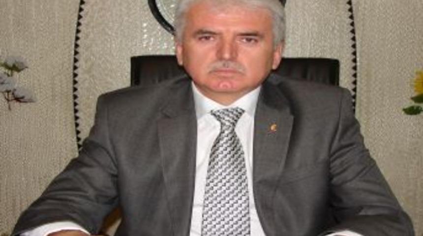 DTB Canlı Hayvan Pazarı'nda gebelik tahlili &uuml;cretsiz