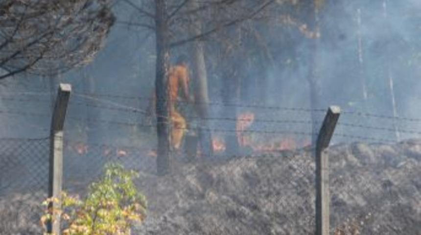 Orman yangını b&uuml;y&uuml;meden s&ouml;nd&uuml;r&uuml;ld&uuml;