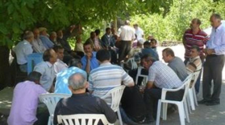 Sohbetlerin tanığı yaşlı ceviz ağacı