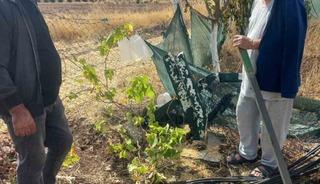 Kimliği belirsiz kişiler bah&ccedil;e tellerine zarar verdi