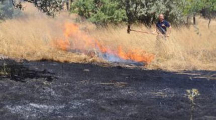 Otlarla birlikte ağa&ccedil;lar da yandı