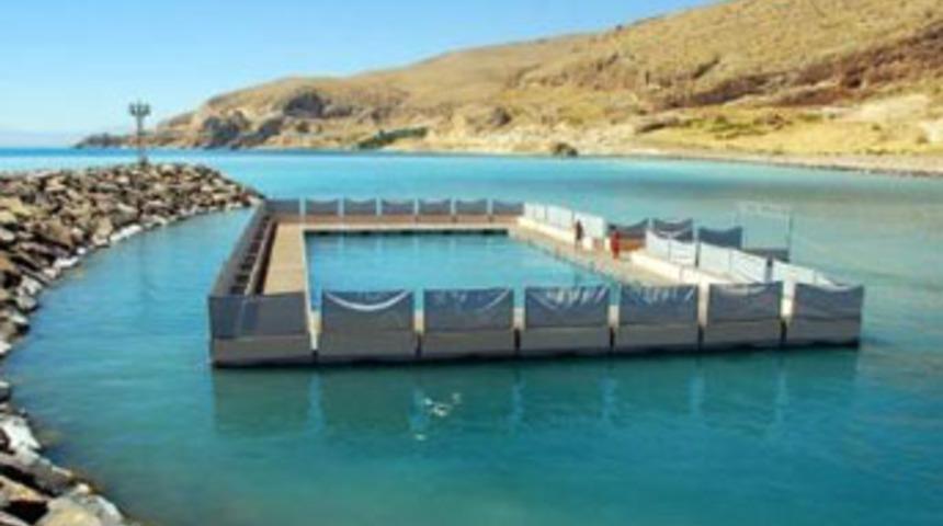 Y&uuml;zen havuza ilgi b&uuml;y&uuml;k