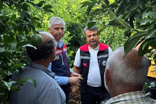 Adana’da dolu yağışı tarım ürünlerine zarar verdi 1