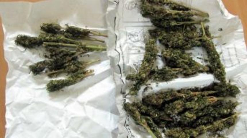 Jandarma 3 kg 770 gram esrar ele geçirdi