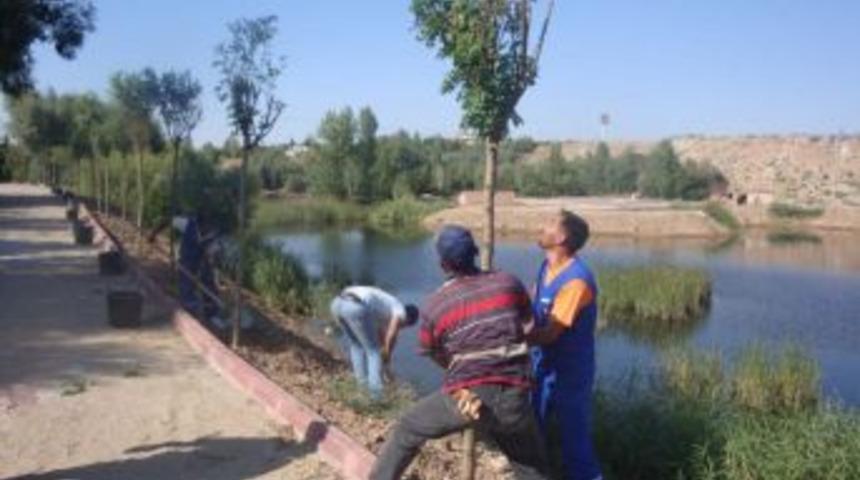 Celal Bayar&rsquo;da &ccedil;evre d&uuml;zenlemesi