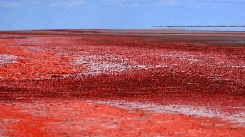 Kırmızı Tuz Gölü'nün sırrı açıklandı