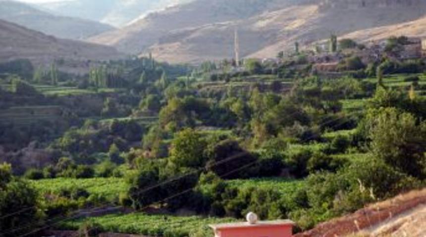 G&uuml;neydoğu'nun saklı cenneti Gurs Vadisi, fark edilmeyi bekliyor