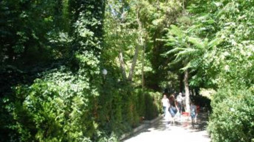 Dedikodu &ccedil;ok, proje yok