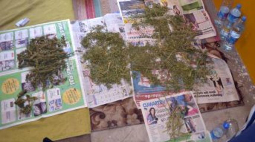 Esrarla yakalanan 5 kişi tutuklandı