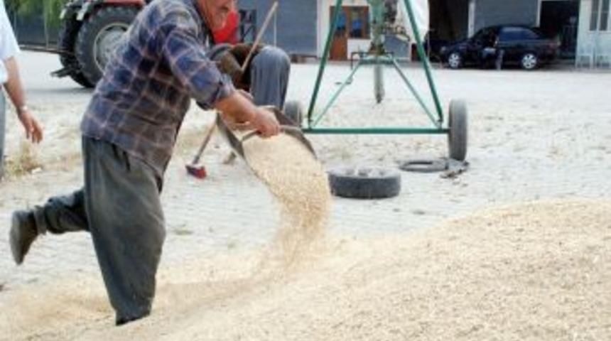 Hasat bitti verimlilik yanıltmadı