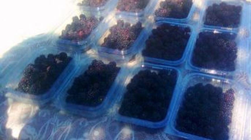 'Butik tarım projesi' kazandırıyor