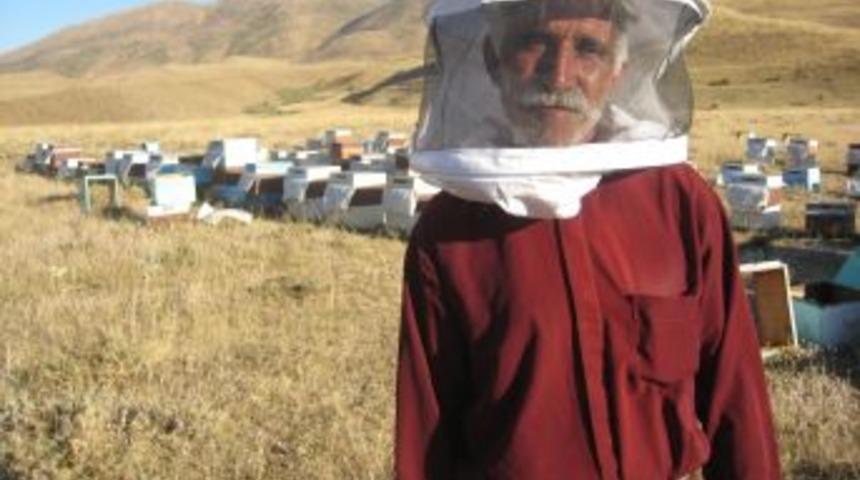 Kovanlarına ve kendisine saldıran ayıyı &ouml;ld&uuml;rd&uuml;, 18 bin TL ceza aldı