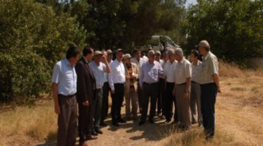 &Ccedil;al&rsquo;da tarımsal biyoteknoloji enstit&uuml;s&uuml; kurulacak