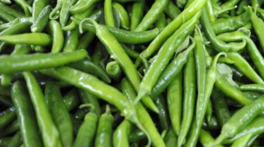 Biber ihracatına Şili dopingi